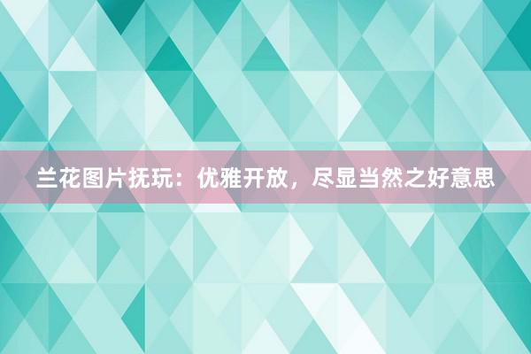 兰花图片抚玩：优雅开放，尽显当然之好意思