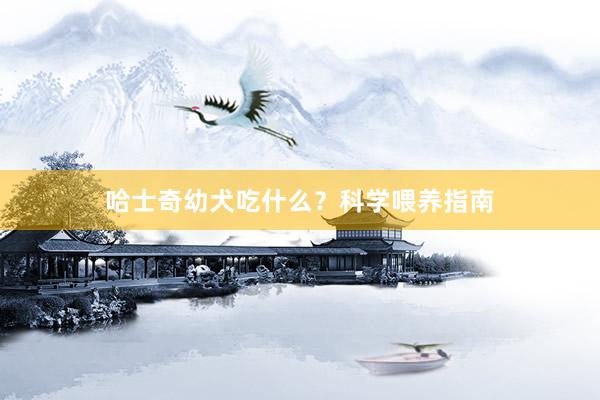 哈士奇幼犬吃什么？科学喂养指南